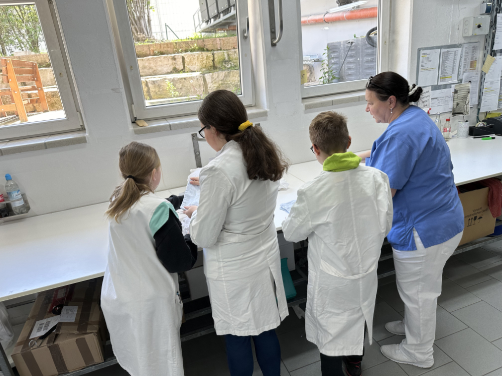 20240425 News Girlsday Boysday 2